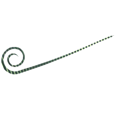 Hayabusa - Free Slide Necktie Spiral Curly Slim view 9