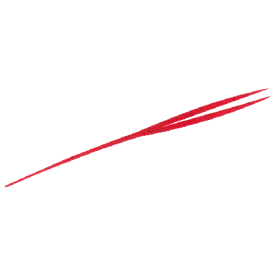 Hayabusa - Free Slide Necktie Twin Straight Short view 5