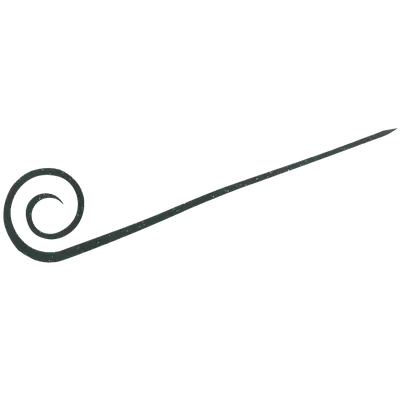 Hayabusa - Free Slide Necktie Spiral Curly Slim view 5