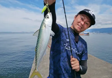 Hayabusa - Jack Eye Hirarin view 8